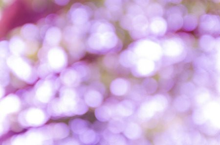 Violet abstract bokeh background from nature environmentの写真素材