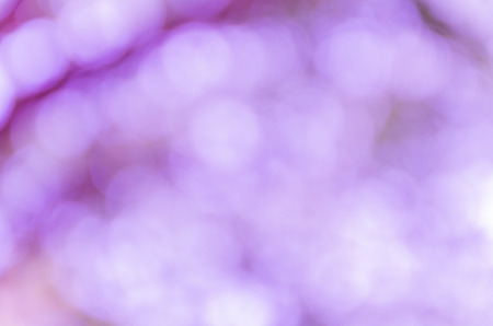 bokeh background with abstract blurred foliage and bright summer sunlightの写真素材