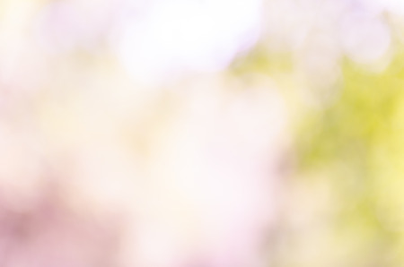 Violet abstract bokeh background from nature environmentの写真素材