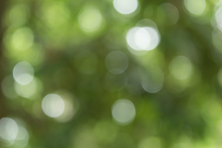 green bokeh abstract light backgroundの写真素材