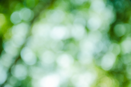 green bokeh abstract light background