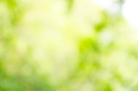 green bokeh abstract light backgroundの写真素材