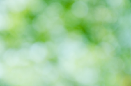 green bokeh abstract light backgroundの写真素材