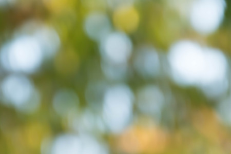 Natural light background bokehの写真素材