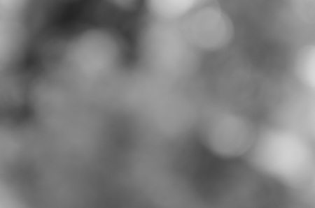 Blur gray leaves with bokeh, abstract backgroundの写真素材