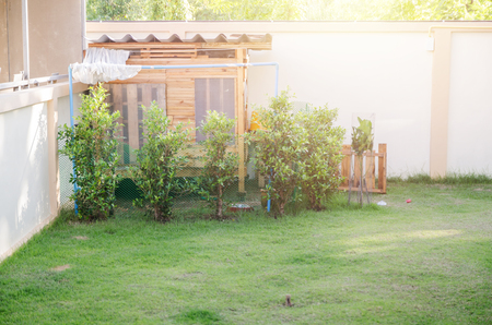 Dog house with yard green grassの写真素材