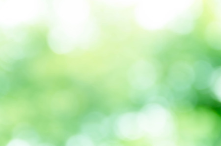 Natural Green bokeh backgroundの写真素材