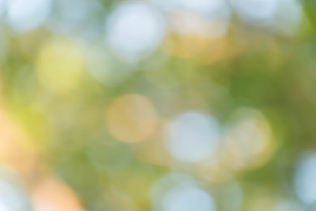 green bokeh abstract light backgroundの写真素材