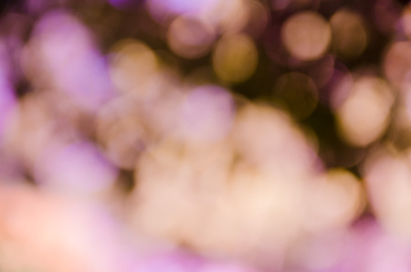 background with abstract blurred foliage and bright summer sunlight for your text or advertismentの写真素材