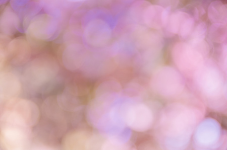 background with abstract blurred foliage and bright summer sunlight for your text or advertisment
