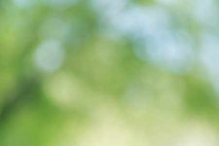 Abstract natural green bokeh backgroundの写真素材