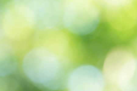 green bokeh abstract light backgroundの写真素材