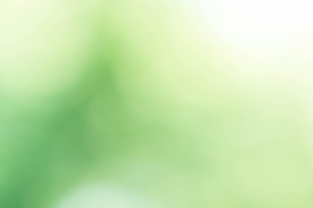 green bokeh abstract light background