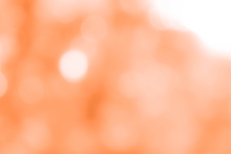 bokeh background from nature under tree shadeの写真素材