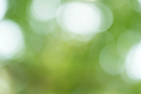 Green Bokeh Backgroundの写真素材
