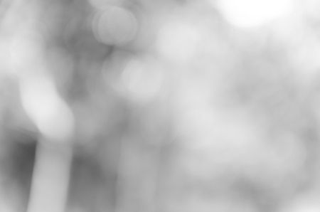 bokeh background with abstract blurred foliage and bright summer sunlightの写真素材