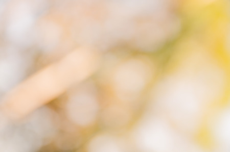 Blur green leaves with bokeh, abstract background