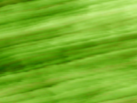 Green bright  background abstract with reflectionの写真素材