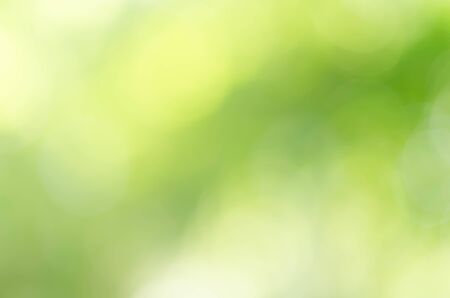 Green natural background of out of focus forest or bokehの写真素材