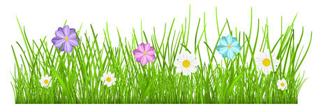 Green grass and multicolored flowersのイラスト素材