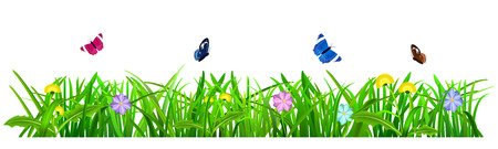 Green grass with flowers and butterflies on white backgroundのイラスト素材