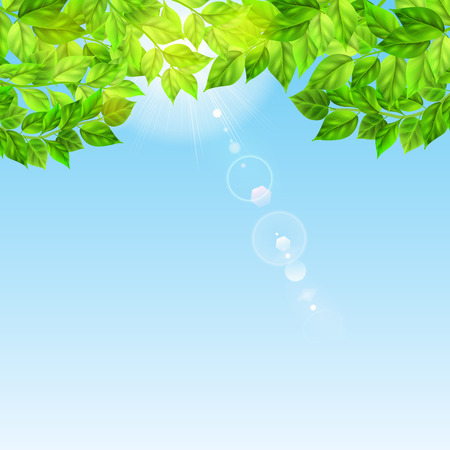 Background with blue sky and sun luminous through green leavesのイラスト素材