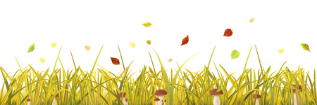 Autumn  yellow grass, mushrooms and leaves on white backgroundのイラスト素材