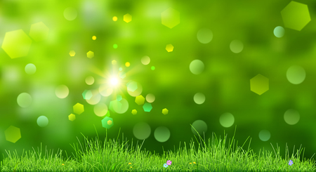 Spring background in green colors with sky, sun, grass and flowersのイラスト素材