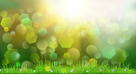 Spring background in green colors with sky, sun, grass and flowersのイラスト素材