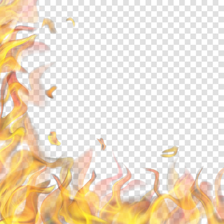 Translucent fire flame on left and below on transparent background. For used on light backgrounds.のイラスト素材