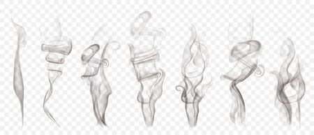 Set of realistic transparent smoke or steam in white and gray colors, for use on lightのイラスト素材