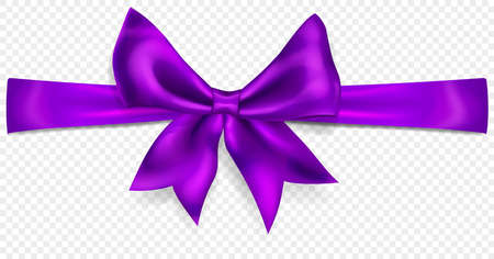 Beautiful purple bow with horizontal ribbon with shadow, isolated on transparent background. Transparency only in vector formatのイラスト素材