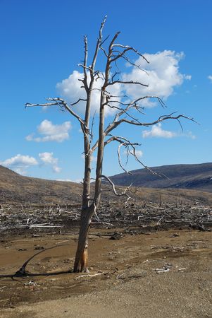 Practically desertの写真素材