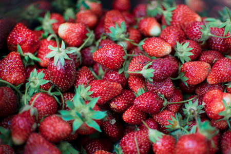 Natural red strawberries in a basket, only that the meeting a farmer from the garden. On berries have traces of earth and sand.の写真素材