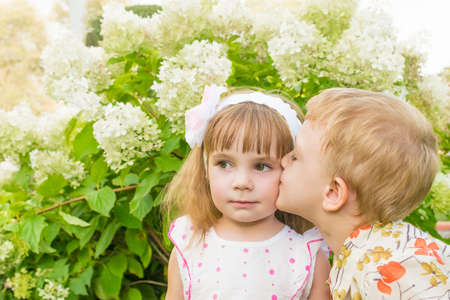 Little boy and girl kiss, a warm summer day. In the background, bush of white flowers buldenezh.の写真素材