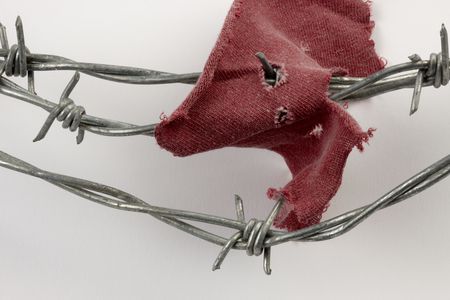 Piece of a shirt caught on barbed wire, shot with soft shadowの写真素材
