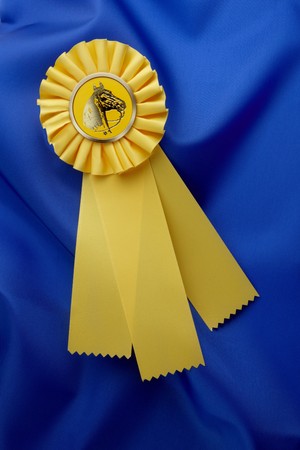 Yellow horse show ribbon shot on silky, shiny, blue material