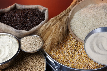 Still life shot of agricultural commodities including various grains and beansの写真素材