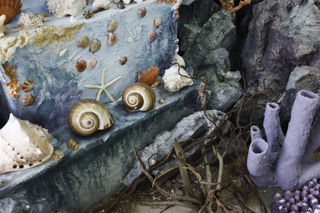 Diverse Colorful Marine Life. Seascape Modelのeditorial素材