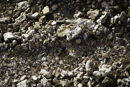 Small light brown stones in the Creekの写真素材