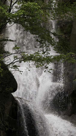 little fall in the woodの写真素材