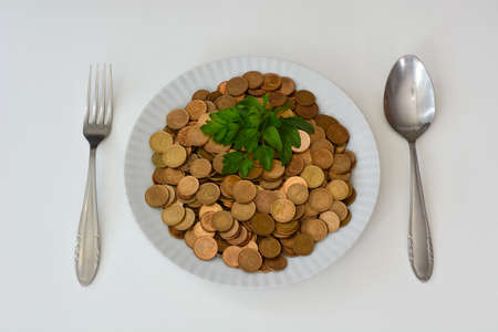 Money as food, money versus food, money is rather raw food, money is not eatable even with spices.の写真素材