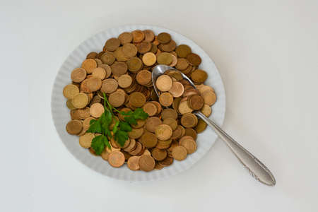Money as food, money versus food, money is rather raw food, money is not eatable even with spices.の写真素材