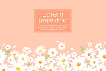 Vector pattern illusration white daisy flowers on a pink background. EPS10.のイラスト素材