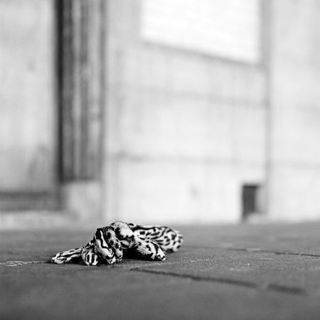 An abandoned glove on the platform of a raiway stationの写真素材