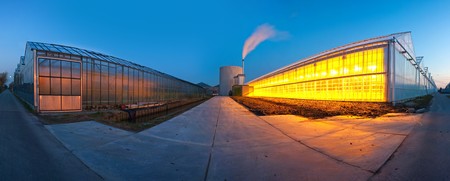 A 180 degree panoramic image of several huge glasshouses at duskの写真素材