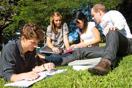 Four university students comparing their notes from college, sitting in the park on a beautiful dayの写真素材