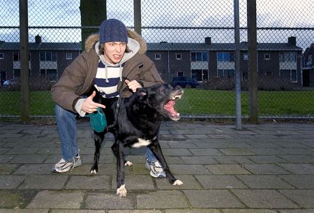 An aggressive dog, being set loose by his vicious owner in an suburbian areaの写真素材
