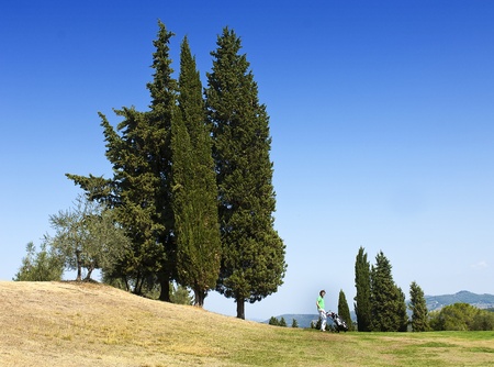 Golf course, with tall cypresses and a golf player, pushing his cart over the fairwayの写真素材