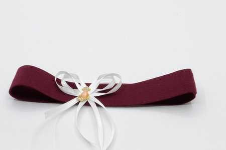 garter,fancy bands attached to the legの写真素材